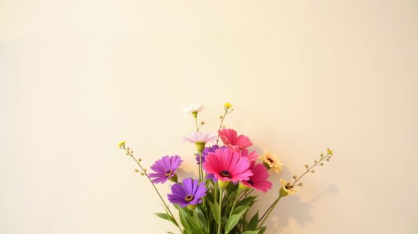 Achats de fleurs CBD pas chères avec livraison en 48h