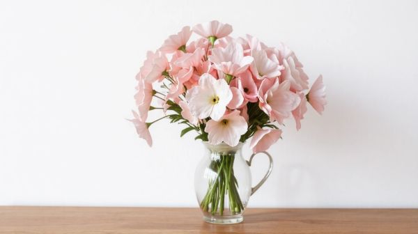 Top 5 fleurs CBD à prix réduit livrées en 48h